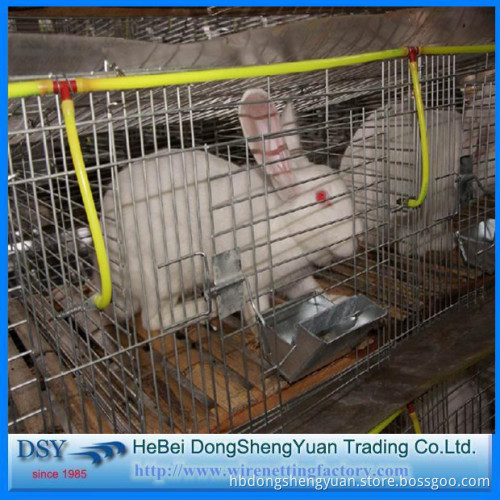 rabbit cage manufactures/cheap galvanized welded rabbit cage wire mesh